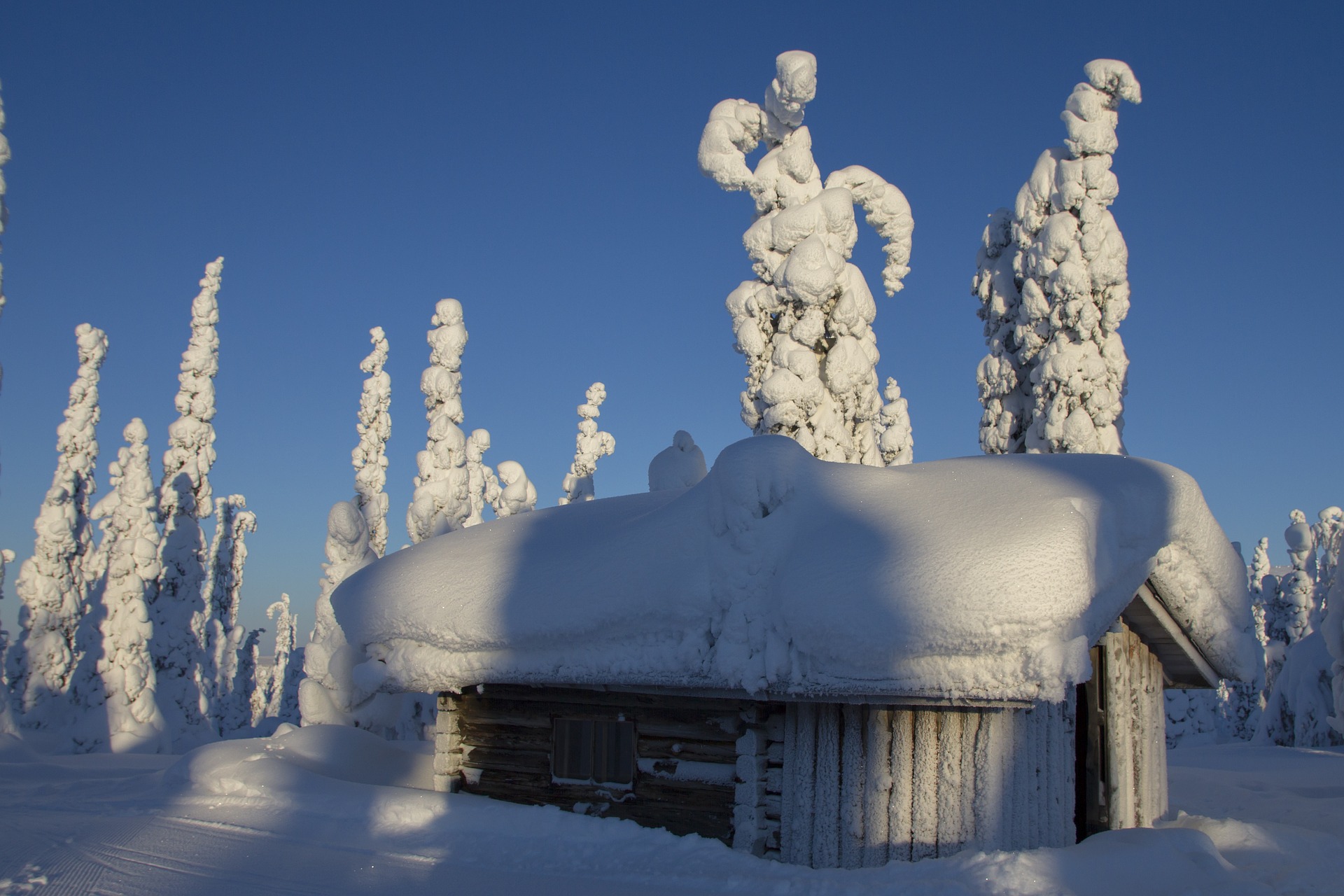 lapland-2984825_1920